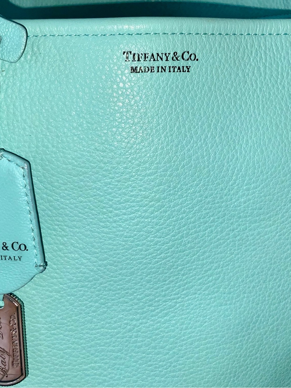 Tiffany & Co. Leather Tote with $$$ Stripe Leather Strap (Retired) - Picture 10 of 16